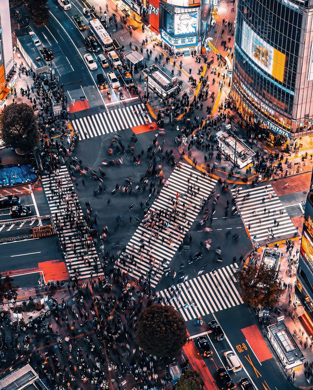 Tokyo travel guide hero